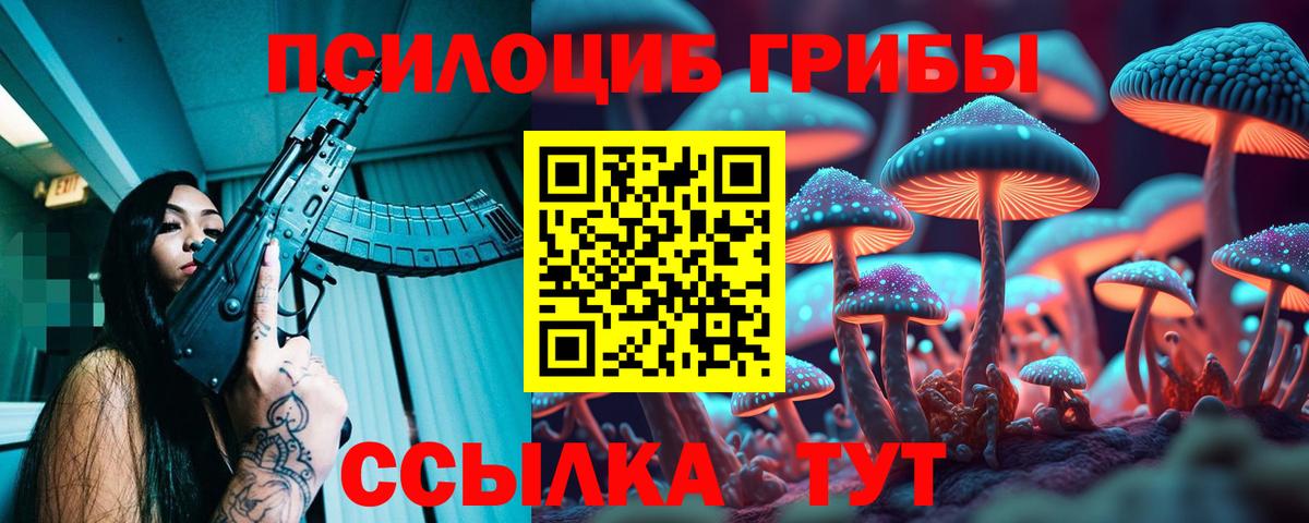 Псилоцибиновые грибы ЛСД  Галлюциногенные грибы ЛСД  наркошоп  Гусиноозёрск  Вход с VPN 